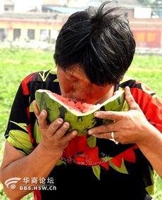 3个老太太吃瓜视频大全,三位老太太的欢乐吃瓜时光