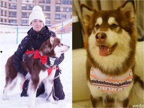 香香公主和爱犬吃瓜视频,香香公主与爱犬共赏吃瓜盛宴