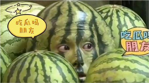 最搞笑的吃瓜西瓜视频大全,笑果连连！西瓜视频搞笑吃瓜盛宴大盘点