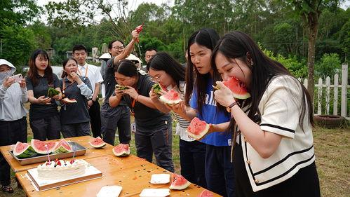 组织员工吃瓜大赛视频,公司员工吃瓜大赛精彩瞬间大盘点