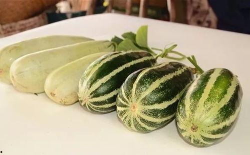 网红瓜太熟可以吃吗视频,口感与营养的双重享受