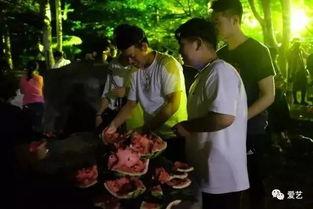 容城吃瓜事件真相视频,揭秘真相背后的惊人内幕