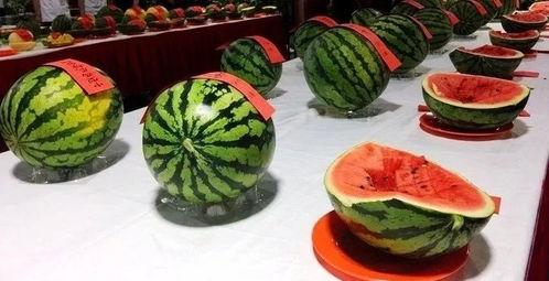 南宁清吧吃瓜事件视频最新,一场引发热议的冲突瞬间