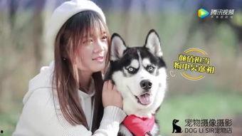 吃瓜小狗拍照视频素材下载