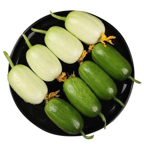 甜蜜脆瓜怎么吃最好吃视频,视频教你最佳食用方法