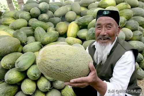 山东人吃新疆哈密瓜视频