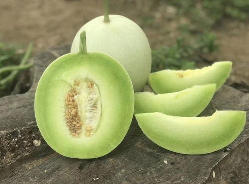 辽宁玉瓜怎么吃才好吃视频,辽宁玉瓜美味食法大揭秘