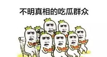 吃瓜群众撒狗粮的视频