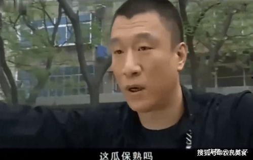 刘华强买瓜吃原声视频在线观看,一场接地气的美食盛宴