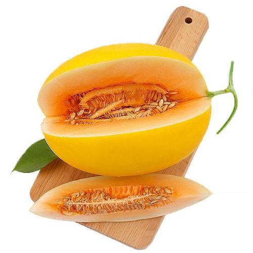 吃蜜瓜太甜了歌曲视频,蜜瓜诱惑——重温“吃蜜瓜太甜了”歌曲魅力