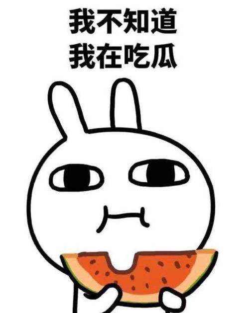 在线吃瓜泪奔视频下载,见证网络时代的情感共鸣