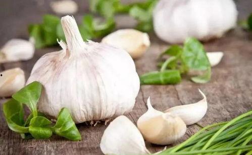 兄弟俩吃瓜吃蒜视频