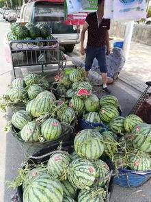 唐县吃瓜事件视频最新