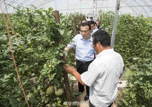 陕西杨凌吃瓜事件视频 第2张 陕西杨凌吃瓜事件视频 第2张