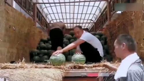 陕西杨凌吃瓜事件视频 第3张 陕西杨凌吃瓜事件视频 第3张