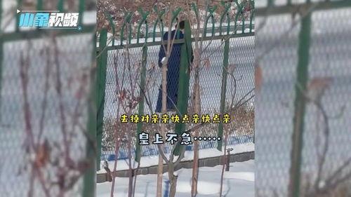 消防队的吃瓜队友视频播放,揭秘消防员日常趣味瞬间 第3张 消防队的吃瓜队友视频播放,揭秘消防员日常趣味瞬间 第3张