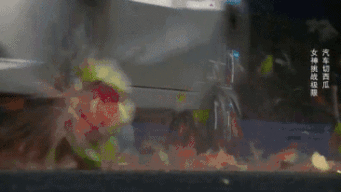 蓝鸟吃瓜视频有哪些  第2张