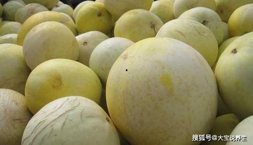 南方人吃白兰瓜好吗视频,风味独特,美味可口 第2张 南方人吃白兰瓜好吗视频,风味独特,美味可口 第2张