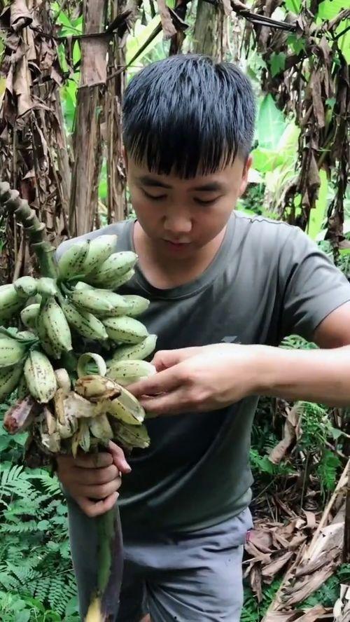 稀奇古怪吃瓜视频大全免费观看,免费畅享稀奇古怪吃瓜视频大全  第3张