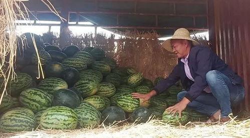 一个吃瓜群众笑哭的视频  第3张