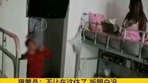 女生宿舍吃瓜吵架视频播放,一场视频引发的宿舍风云