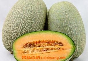 吃哈密瓜吗买一送一原视频后续,买一送一活动背后的甜蜜惊喜