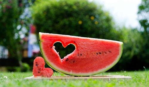 吃瓜背诗视频大全最新,笑中带学，趣味满满