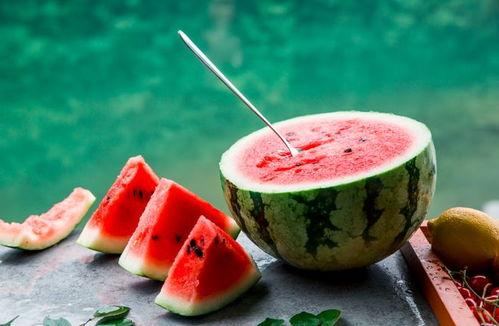 吃瓜背诗视频大全最新,笑中带学，趣味满满  第3张