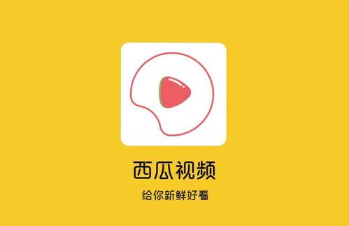 吃瓜的视频怎么编辑文字,如何轻松编辑文字打造精彩概述