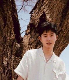 顺平陈稳视频吃瓜,一场吃瓜群众的狂欢盛宴  第2张