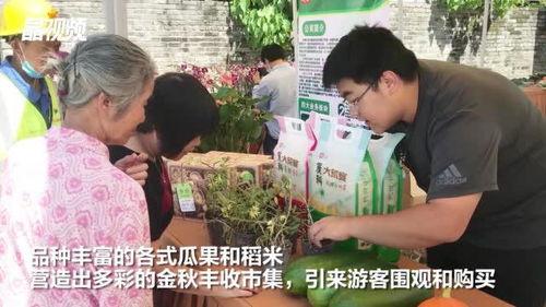 吃瓜唠嗑视频图片大全集  第2张