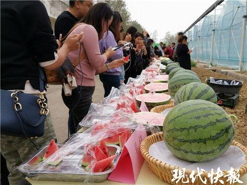 长瓜需要削皮吃吗视频