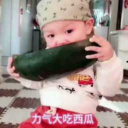 吃小瓜的小孩视频大全