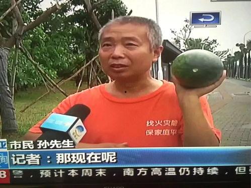 李新庄吃瓜群众事件视频  第2张