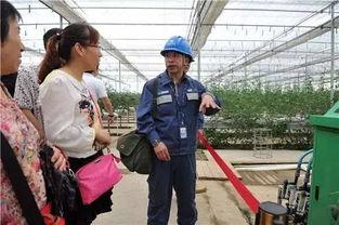 周末吃瓜群众视频  第2张