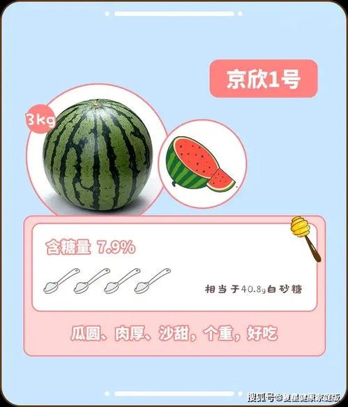 吃瓜宝典西瓜视频,揭秘吃瓜宝典，畅享夏日清凉盛宴  第2张
