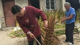 阜阳最新吃瓜视频,揭秘当地热门事件背后的真相  第2张