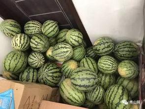 吃瓜的手艺视频大全集  第2张