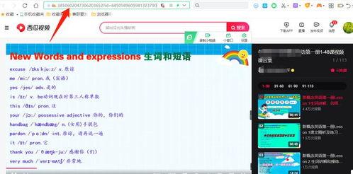 吃瓜动图视频素材下载网站  第2张