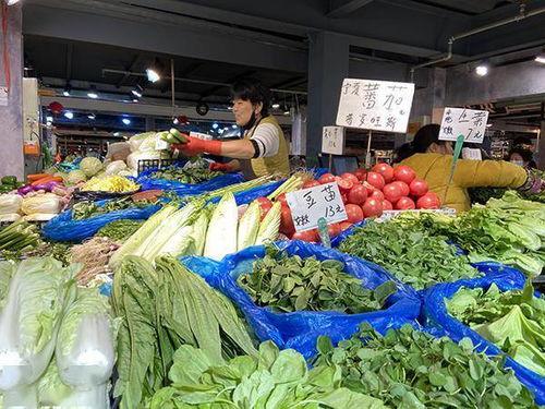 校园吃瓜集市视频大全,趣味视频大盘点