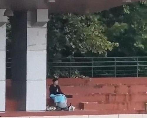 楼顶小马吃瓜视频
